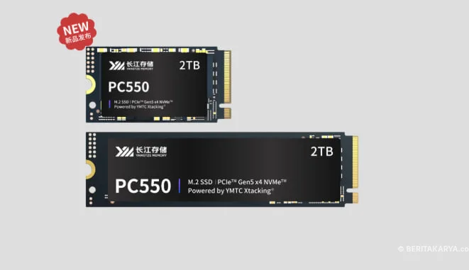 SSD China Makin Dilirik, Siap Bersaing dengan Samsung dan Western Digital